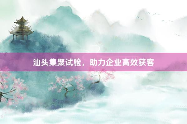 汕头集聚试验，助力企业高效获客