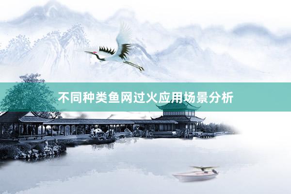 不同种类鱼网过火应用场景分析